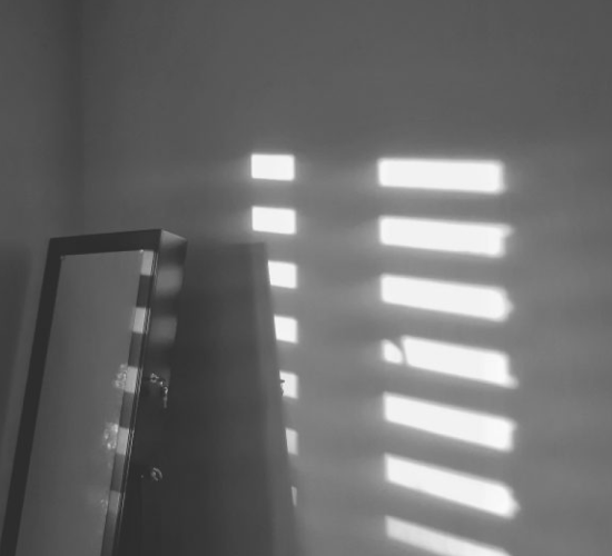 Rectangle 6556